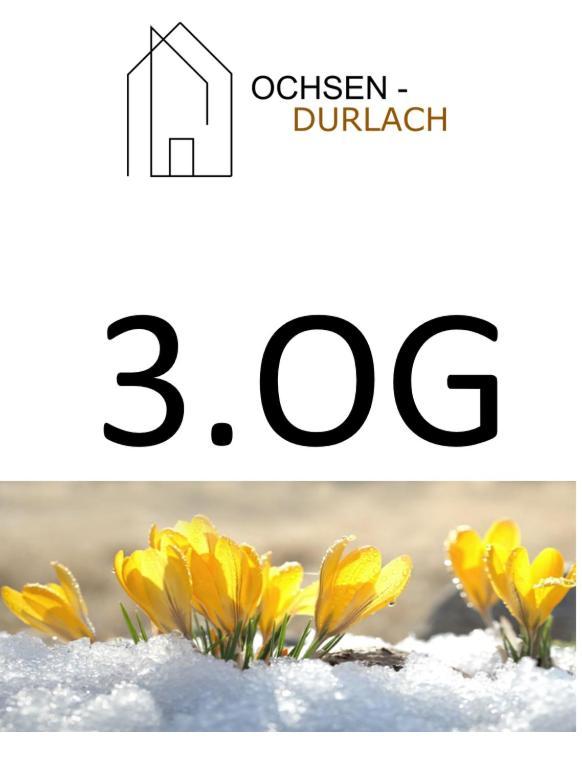 Ochsen-Durlach Karlsruhe Cameră foto